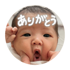 Hanako_20260506204642