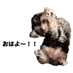 nasuchan_20260506205434