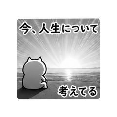 ???_20260506205332