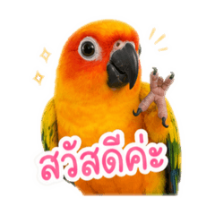 FangPariyaphat_20260428152738