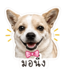 Bew_20260430203400