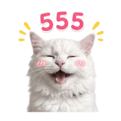 Bububi_20260501183056