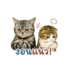 MeowMood Vol.1
