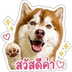 Tofuu...
