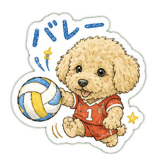 choco_20260506153506