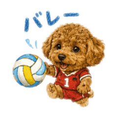 choco_20260506153611