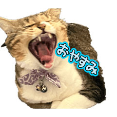 fujimo_20260506153753