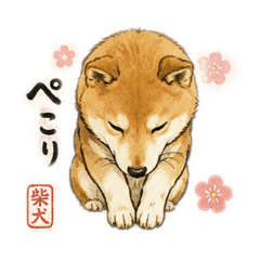 shishi marumama_20260506153736