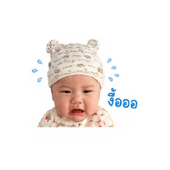 Maprang_20260428153048