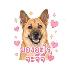 Gygee1_20260428153402