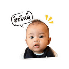 order_20260428153448
