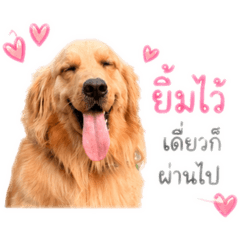 Tan Phornipha_20260428153354