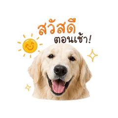 Chanan_20260428153506