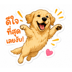 The dog is cheerful