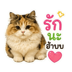 Kendokp.__20260501115552