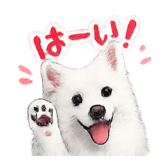 yukimaru_20260506160733