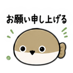 umebosi_20260506160927