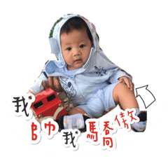 泡菜寶寶日常生活