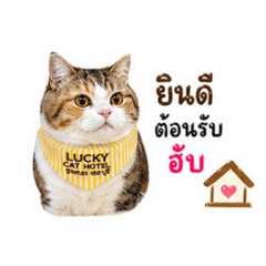 gxmbah_20260428152739