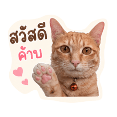 Sirirat 555_20260428134150