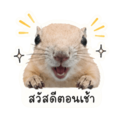 Krarog V.1