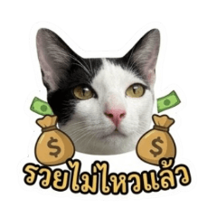 Mr.Tee_20260504154553
