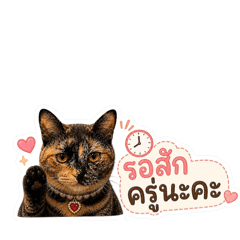 KOOKKAI^^_20260502020547