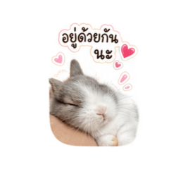 Atchara2546^^