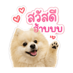 nong pomm