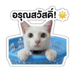 Mr.Tee_20260504212907