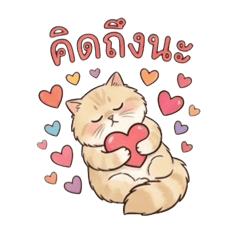 Pungping A Cute Cat 2