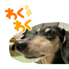 nnnnn_20260506163258