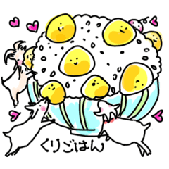 ninjaninjin_20260506163635