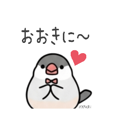 AYAchi_20260506164702