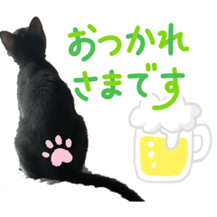 shizu_20260506164954