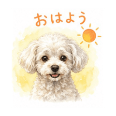 misa_20260506173748