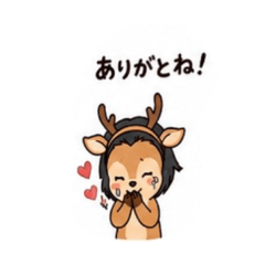 maimai_20260506173645