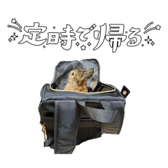 Titan_20260506165615