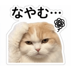 uni_20260506165036