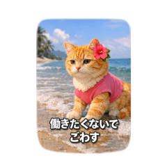 Kansai Nekko_20260506165525