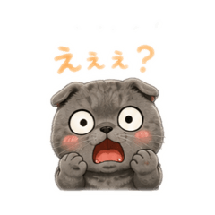 makisim_20260506165825