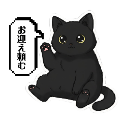 SAWAKO_20260506165753