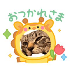 makoto_20260506170743