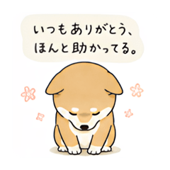 stafy77_20260506170842