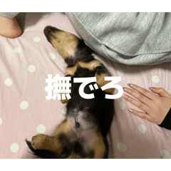 yama_20260506170619