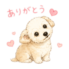 ck_20260506171502