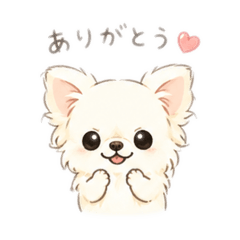su_san_20260506170809