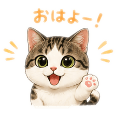 makisim_20260506172421