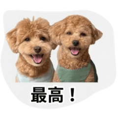 horidankoji_20260506172332
