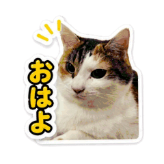 benimonji_20260506191945